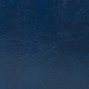 D.blue
