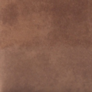 Shiny taupe